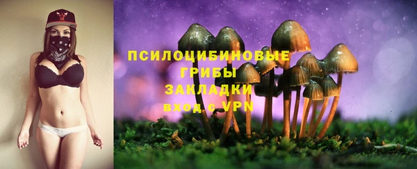альфа пвп Бородино