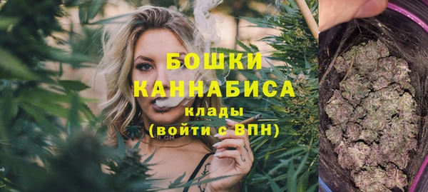 альфа пвп Бородино