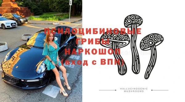 альфа пвп Бородино